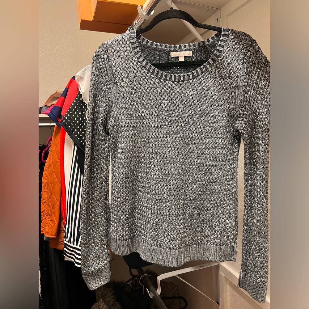 Silver Chrome Banana Republic Sweater